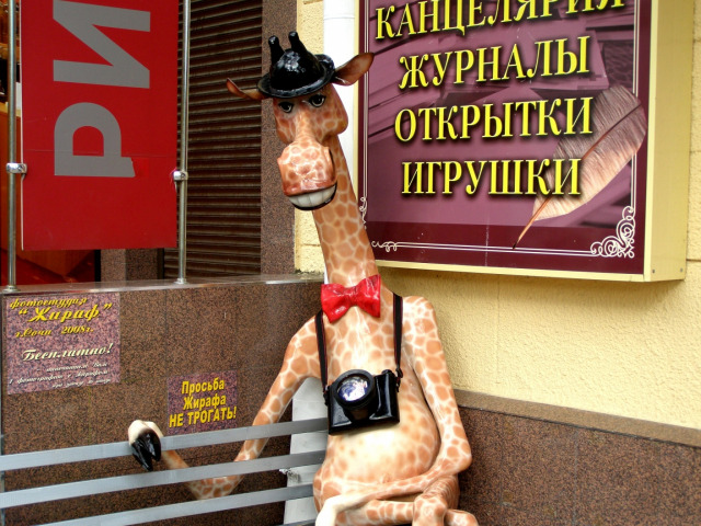 Жираф-фотограф