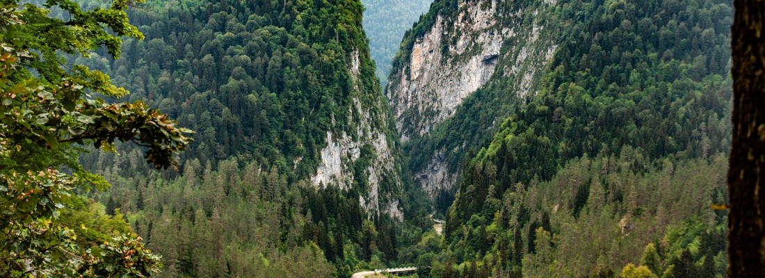 Чабгарский карниз, Абхазия, Азия. ( 27.01.2026 )