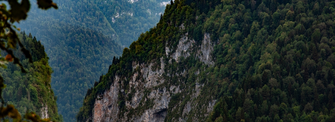 Чабгарский карниз, Абхазия, Азия. ( 27.01.2026 )