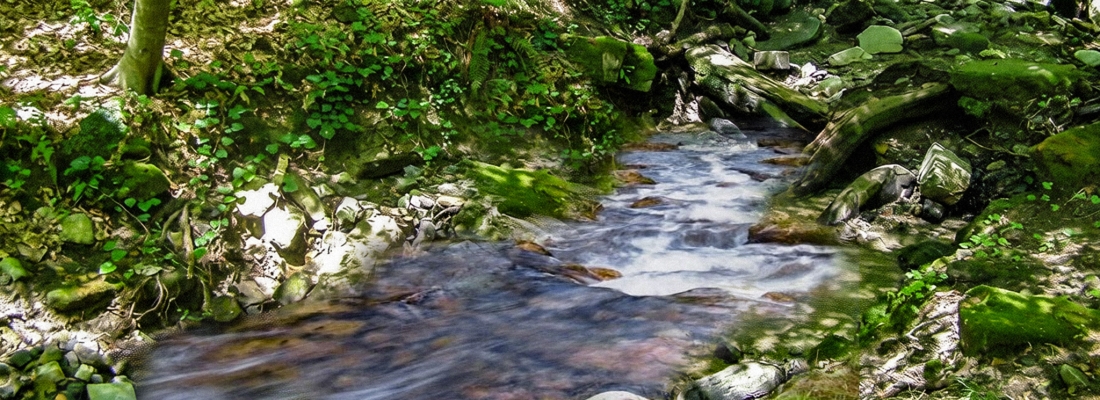 Сероводородный родник около дольмена. Фотография обработано ИИ для лучшей визуализации. | Волконский Дольмен в Лазаревском, Сочи, Россия. ( 28.01.2026 )