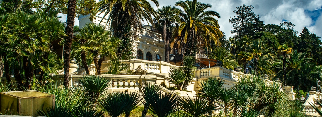 Территория парка | ДЕНДРАРИЙ в Хосте, Сочи, Россия. ( 30.01.2026 )