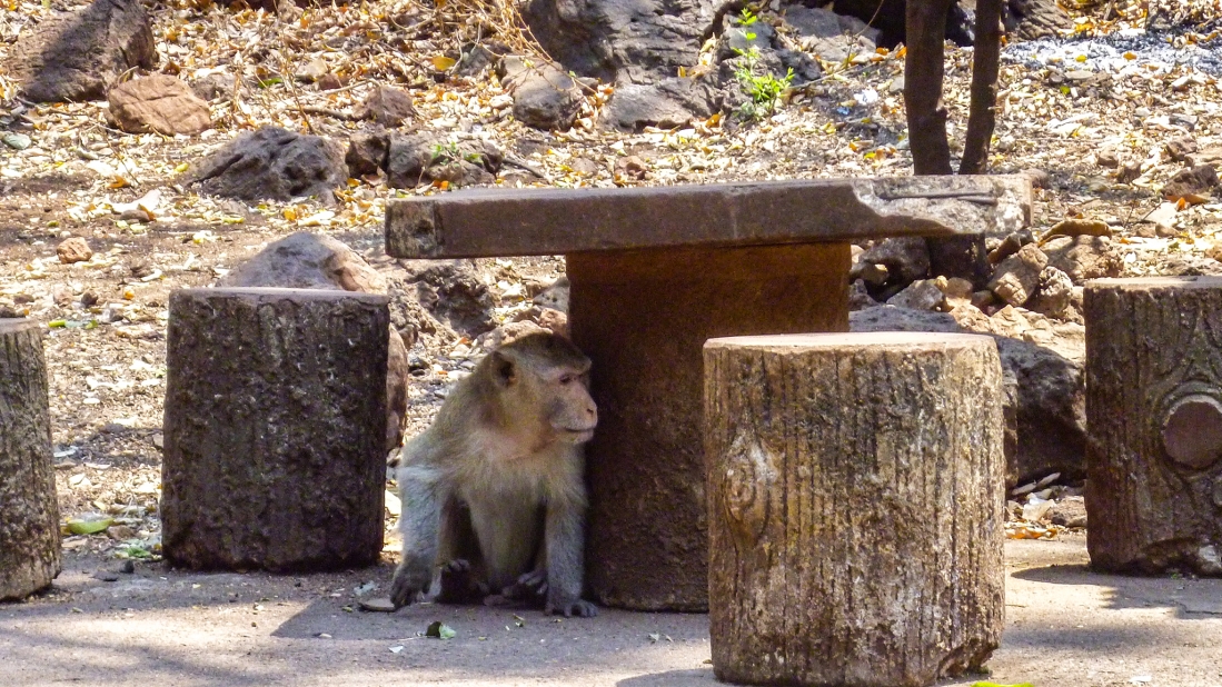 Лагерь Банг Кунг в Бангкоке, Таиланд, Азия. ( 26.02.2026 )